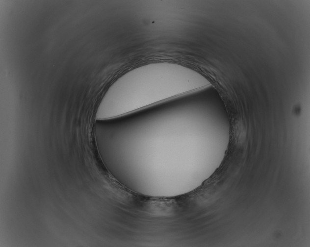 X0000091690571200708231133