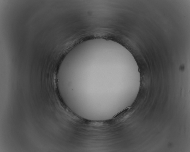 X0000091690575200708231133