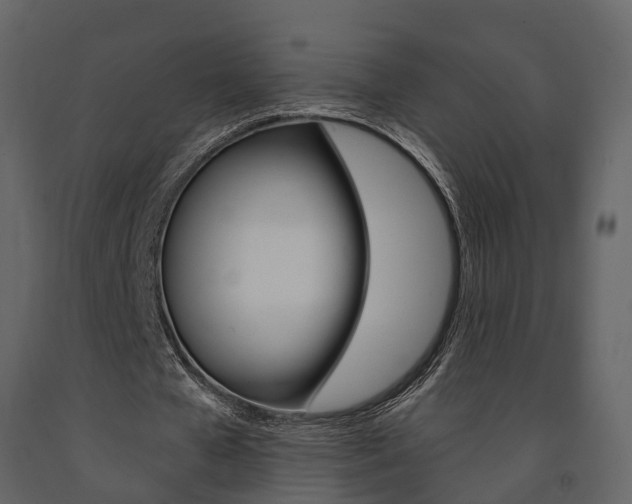 X0000091690577200708231132