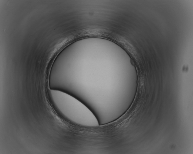 X0000091690578200708231132