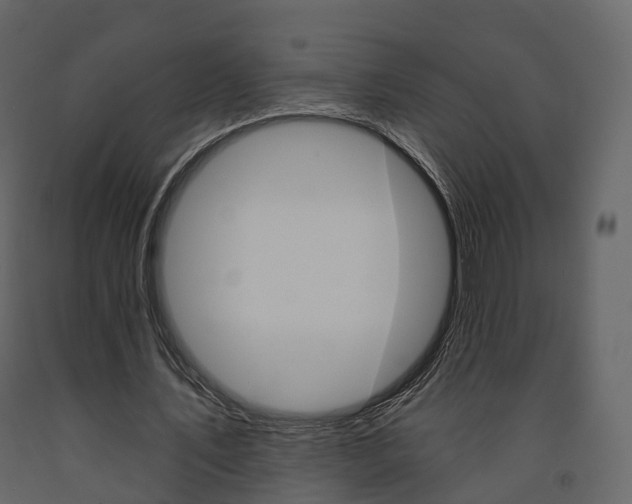 X0000091690579200708231132