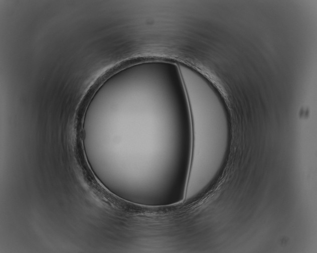 X0000091690580200708231132