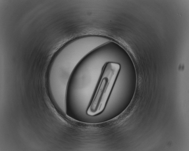 X0000091690581200708231132