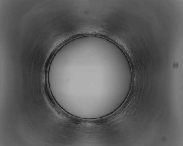 X0000091690582200708231132