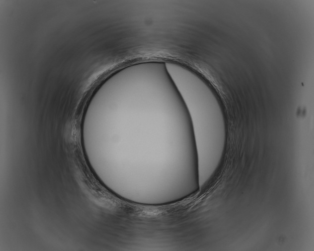 X0000091690583200708231132