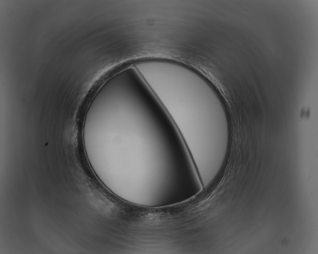 X0000091690584200708231132
