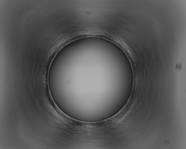 X0000091690585200708231132