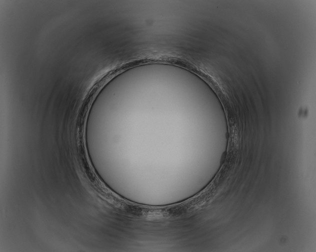 X0000091690587200708231132