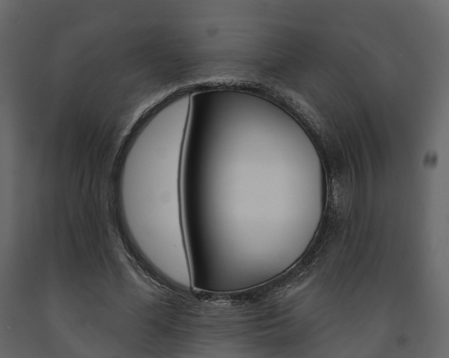 X0000091690588200708231132