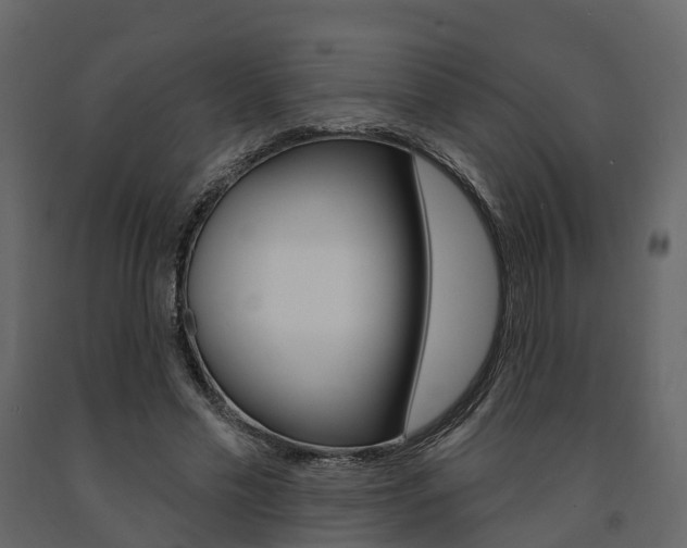 X0000091690589200708231132
