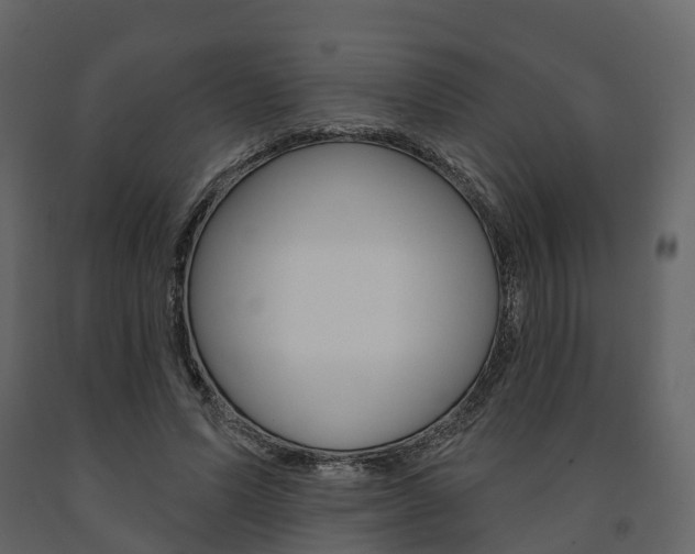 X0000091690591200708231132