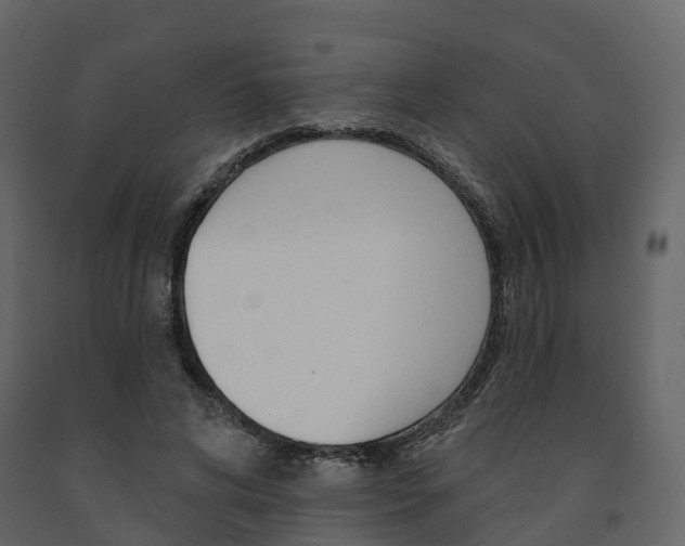 X0000091690592200708231132