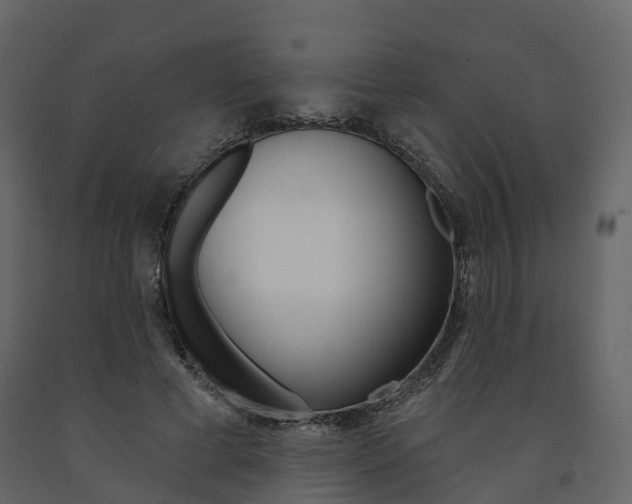 X0000091690593200708231132