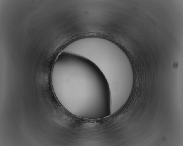 X0000091690595200708231132