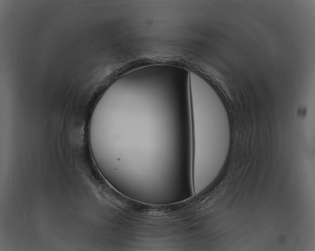 X0000091690596200708231132