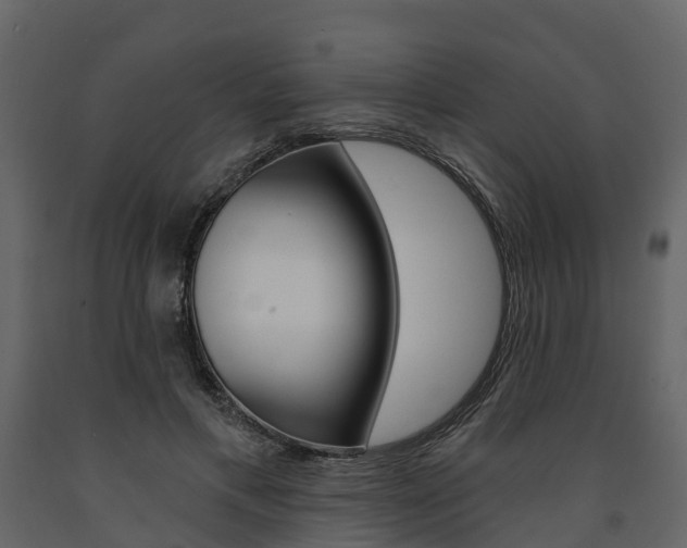 X0000091690597200708231132