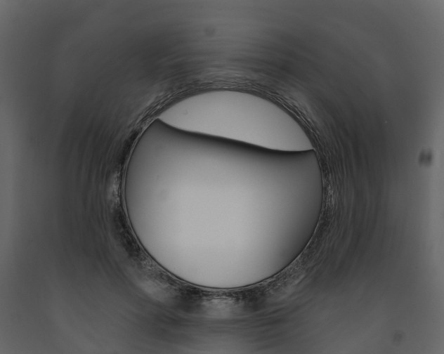 X0000091690598200708231132