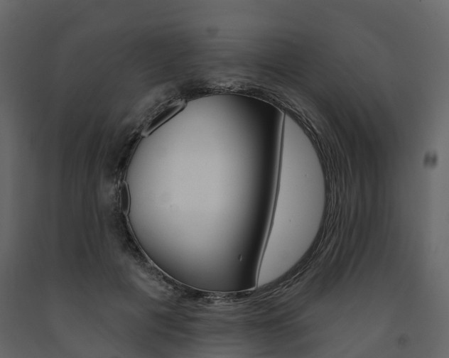 X0000091690601200708231132