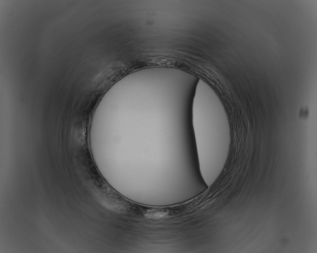 X0000091690602200708231132