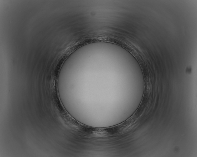 X0000091690603200708231132