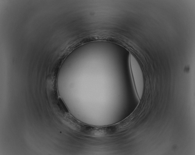 X0000091690604200708231132