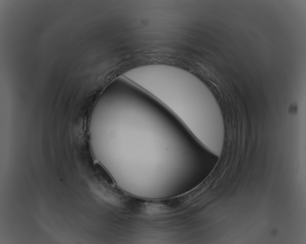 X0000091690605200708231132