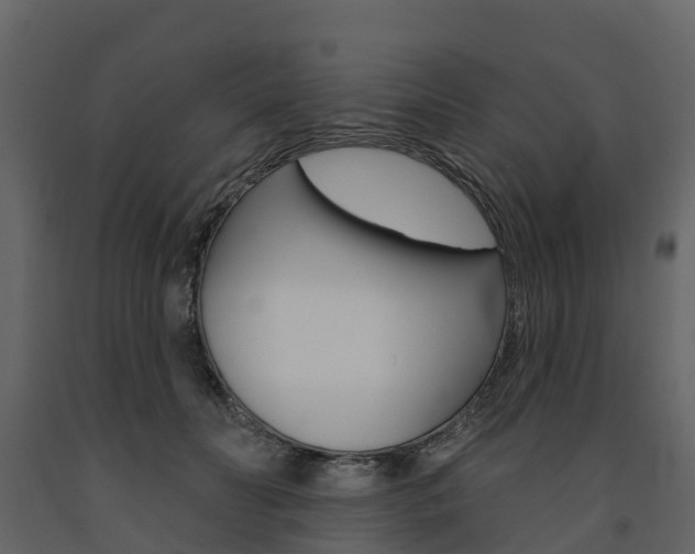 X0000091690606200708231132