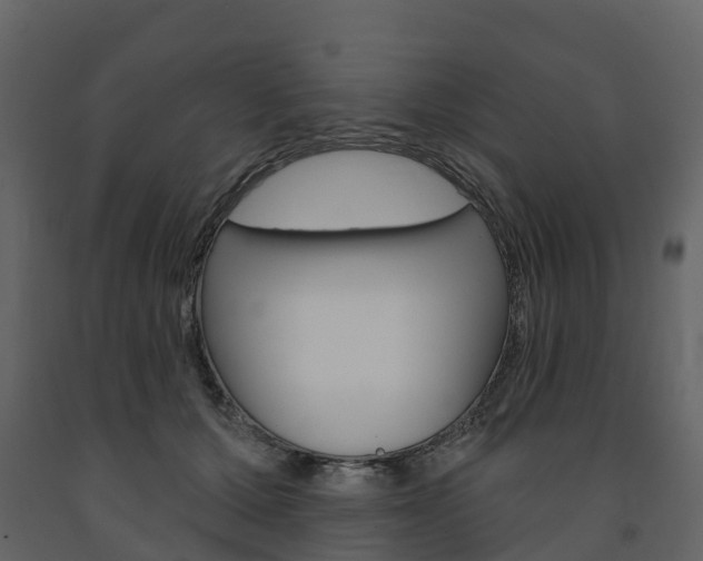 X0000091690607200708231132