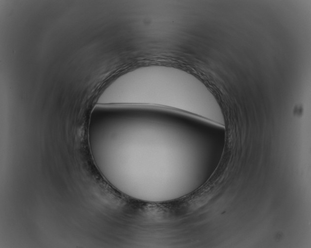 X0000091690608200708231132