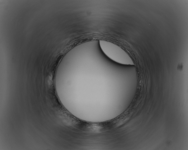 X0000091690610200708231132