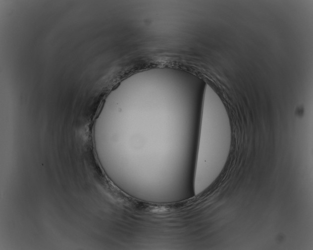 X0000091690611200708231132