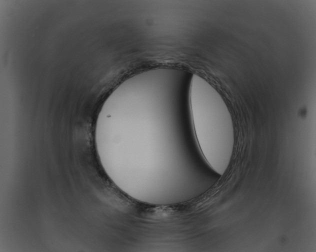 X0000091690612200708231132