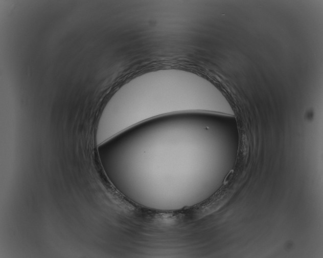 X0000091690613200708231132