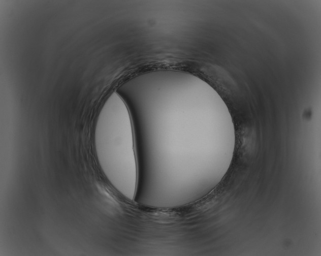 X0000091690615200708231132