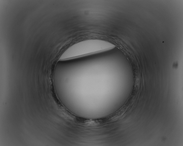 X0000091690616200708231132