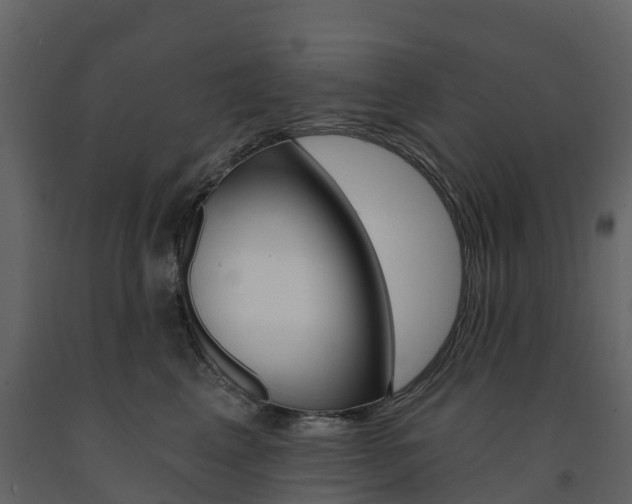 X0000091690617200708231132