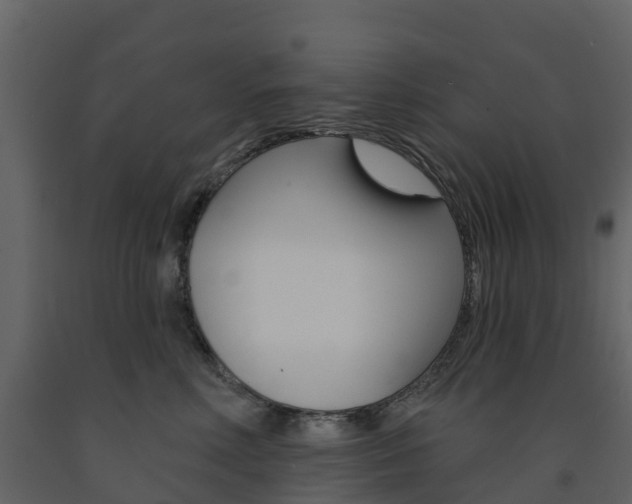 X0000091690618200708231132