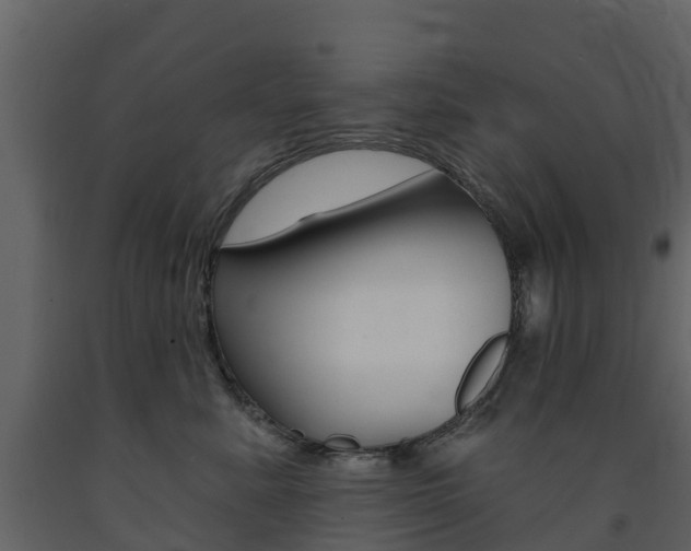 X0000091690619200708231132