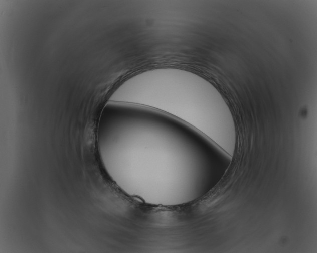 X0000091690620200708231132