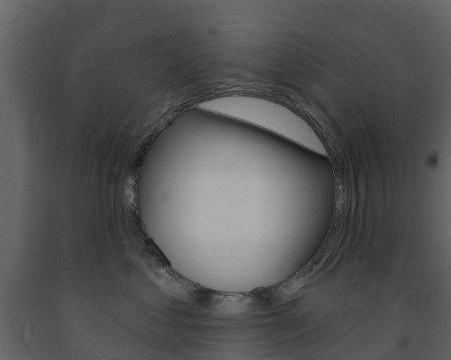 X0000091690621200708231132