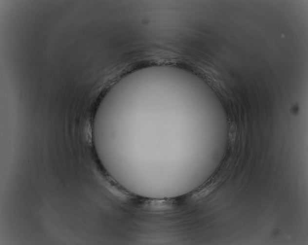 X0000091690622200708231132