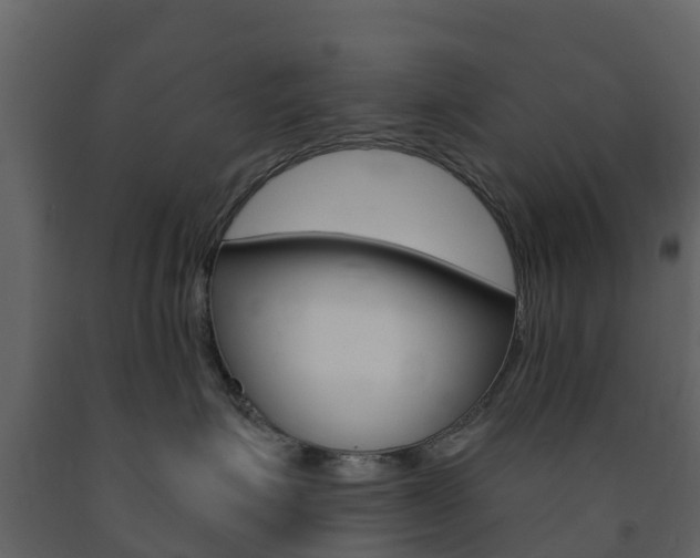 X0000091690623200708231132