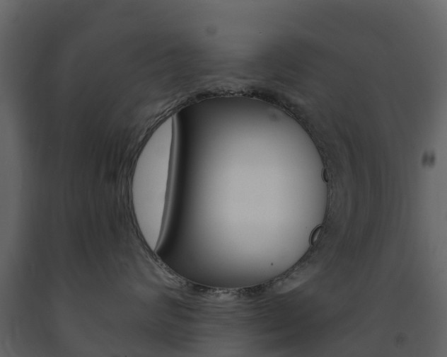 X0000091690624200708231132