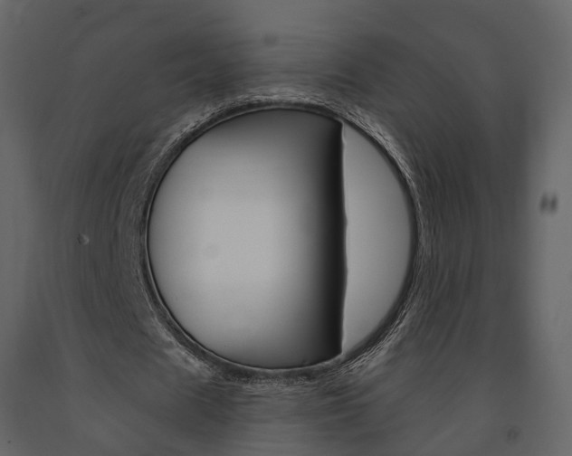 X0000091690625200708231131
