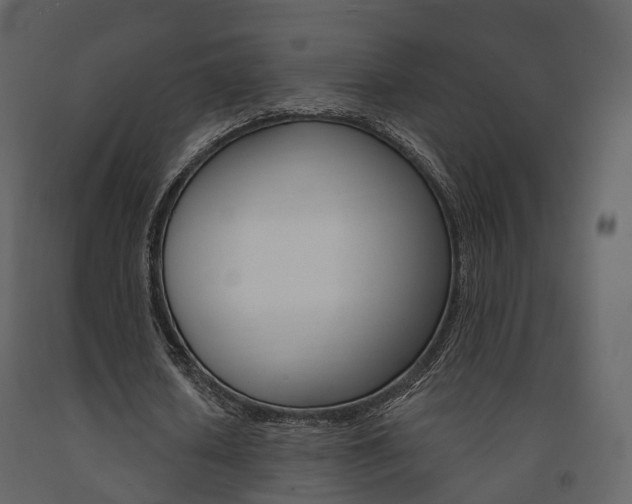 X0000091690626200708231131