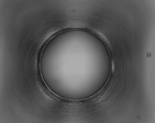 X0000091690627200708231131