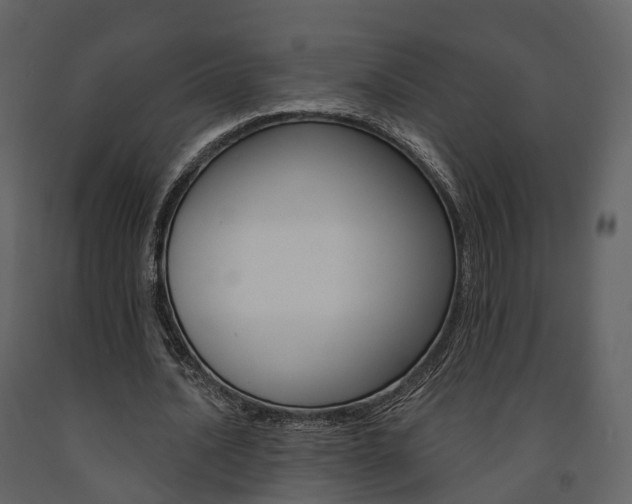 X0000091690628200708231131