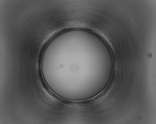 X0000091690629200708231131