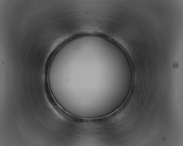 X0000091690630200708231131