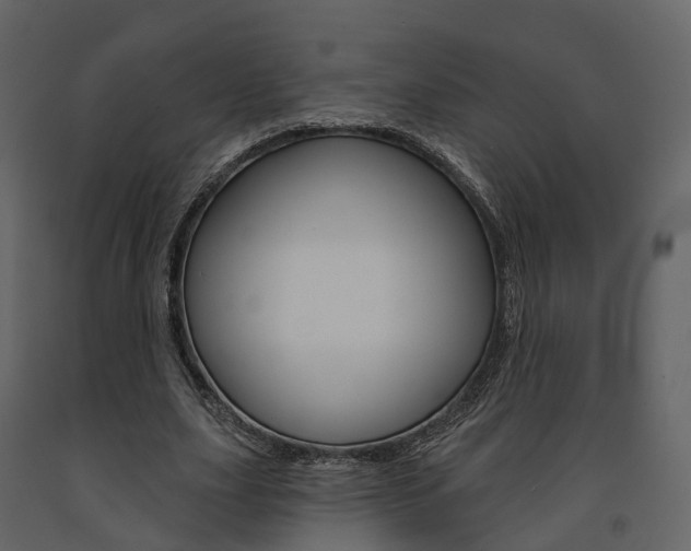 X0000091690631200708231131